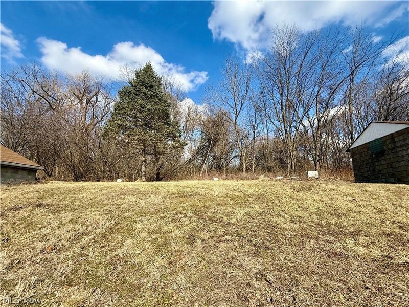 3028 Dearborn Street, Youngstown, OH 44510 Photo 5