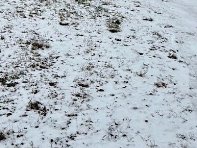 3028 Dearborn Street, Youngstown, OH 44510 Photo 8