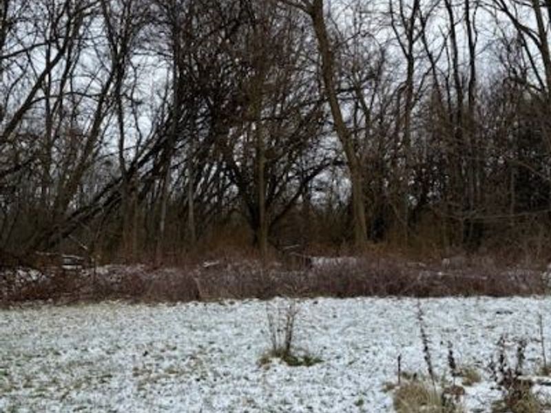 3028 Dearborn Street, Youngstown, OH 44510 Photo 9