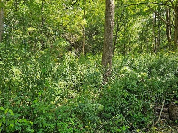 0 Lyons Marengo Road, Clyde, NY 14433