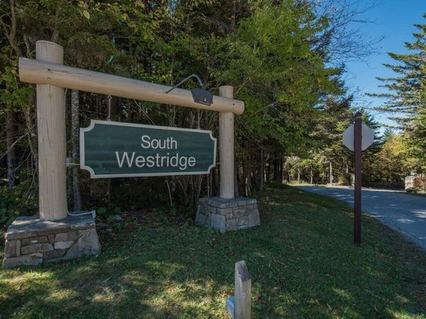 84 South West Ridge Road, Snowshoe, WV 26209