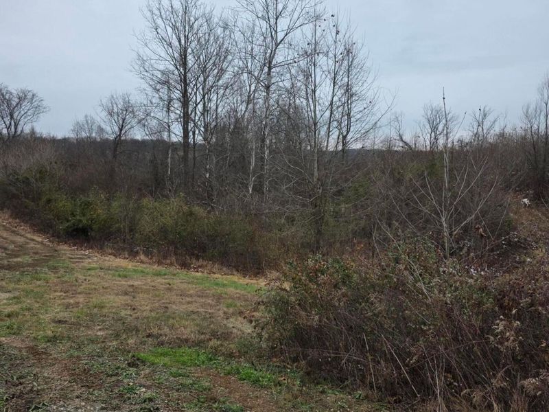 31166 Edmundson Road, Vinton, OH 45686 Photo 2