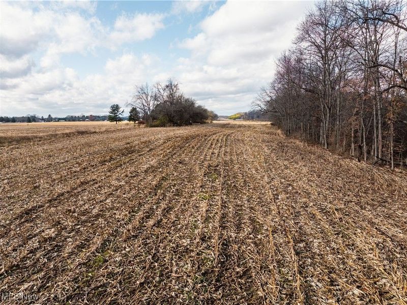 Eddleblute Road, Frazeysburg, OH 43822 Photo 3