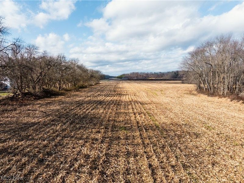 Eddleblute Road, Frazeysburg, OH 43822 Photo 4