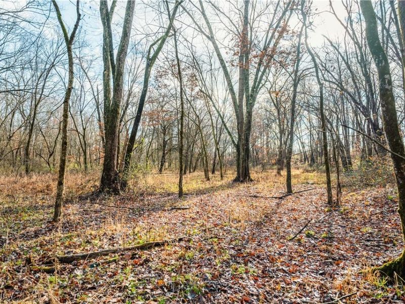 Eddleblute Road, Frazeysburg, OH 43822 Photo 10