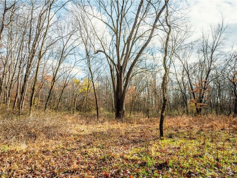 Eddleblute Road, Frazeysburg, OH 43822 Photo 11