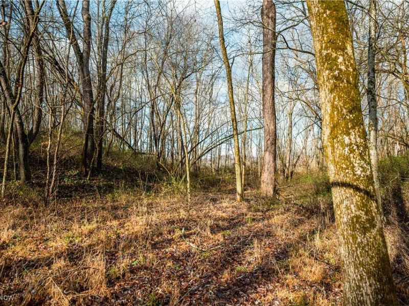 Eddleblute Road, Frazeysburg, OH 43822 Photo 12