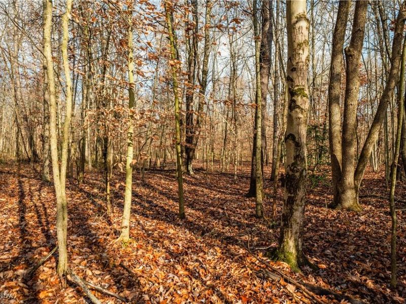 Eddleblute Road, Frazeysburg, OH 43822 Photo 13