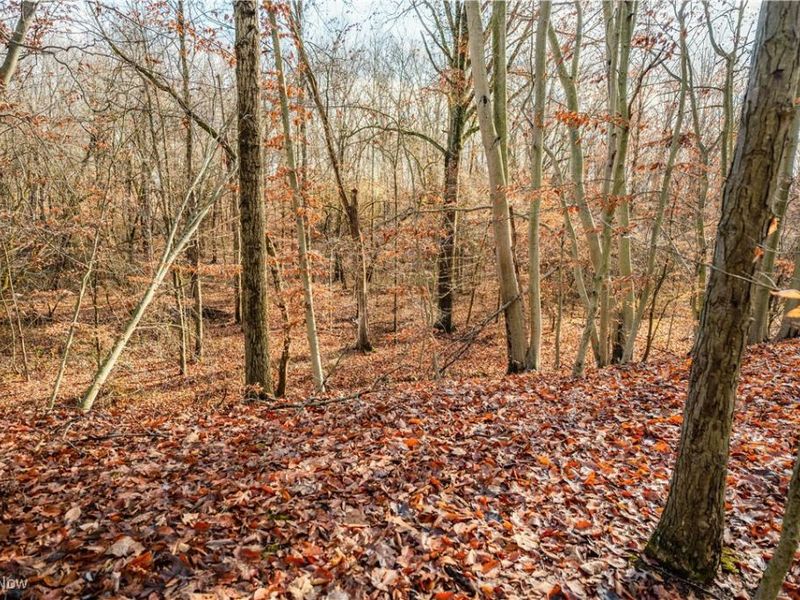 Eddleblute Road, Frazeysburg, OH 43822 Photo 14