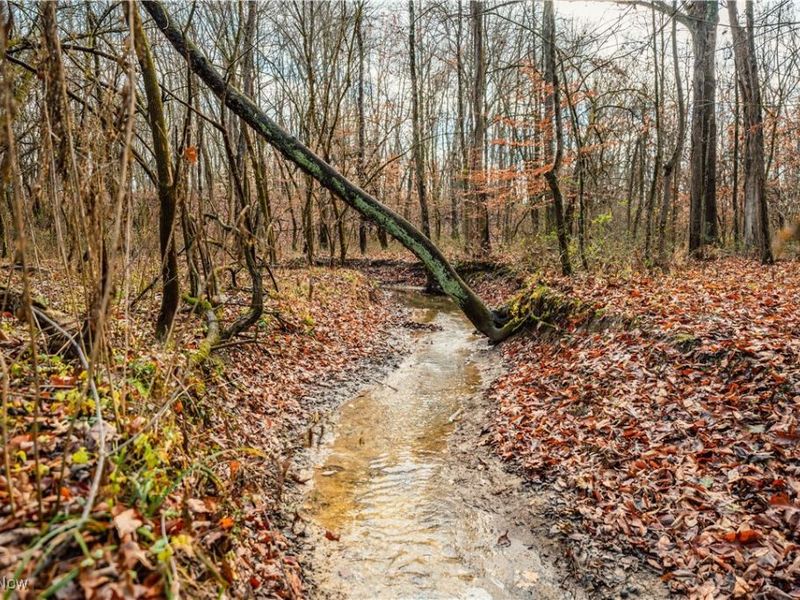 Eddleblute Road, Frazeysburg, OH 43822 Photo 15