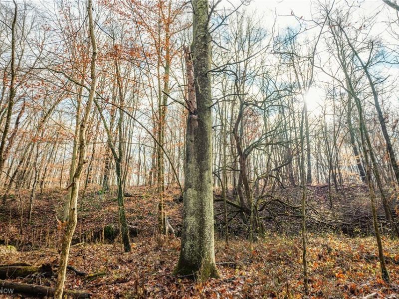 Eddleblute Road, Frazeysburg, OH 43822 Photo 17