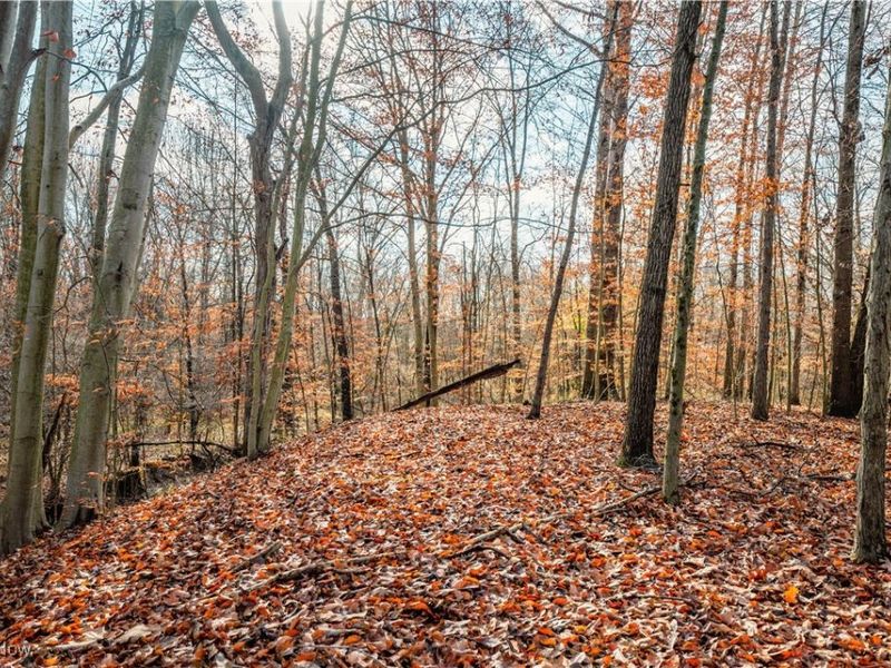 Eddleblute Road, Frazeysburg, OH 43822 Photo 18