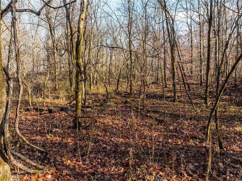 Eddleblute Road, Frazeysburg, OH 43822 Photo 4