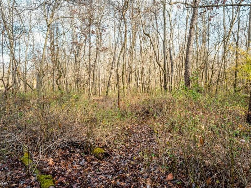 Eddleblute Road, Frazeysburg, OH 43822 Photo 5