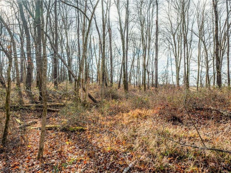 Eddleblute Road, Frazeysburg, OH 43822 Photo 6