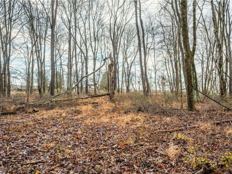 Eddleblute Road, Frazeysburg, OH 43822 Photo 7