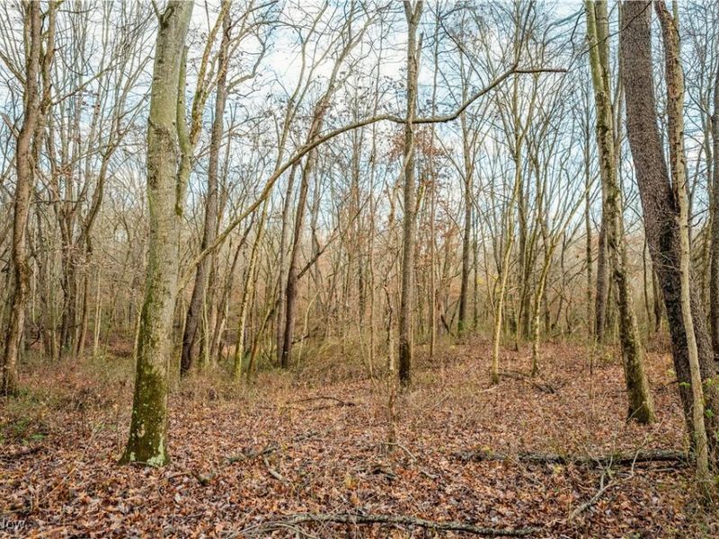 Eddleblute Road, Frazeysburg, OH 43822 Photo 8