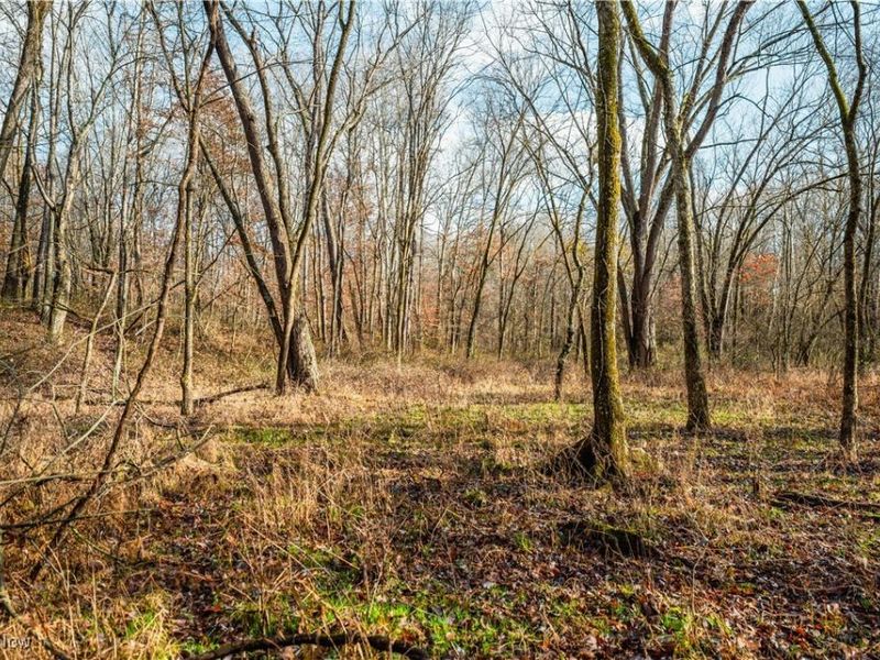 Eddleblute Road, Frazeysburg, OH 43822 Photo 9