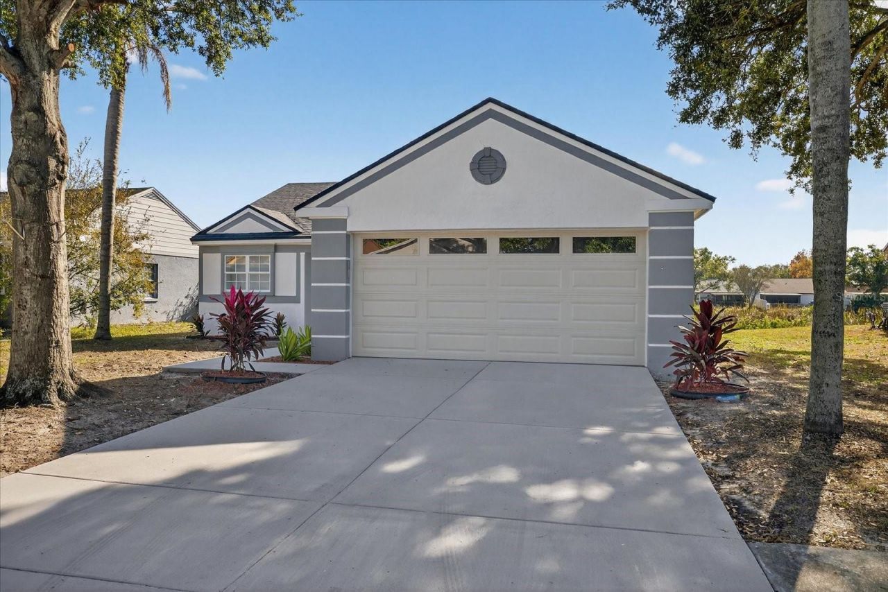 7819 Chaperon Court, Tampa, FL 33637 Main Photo