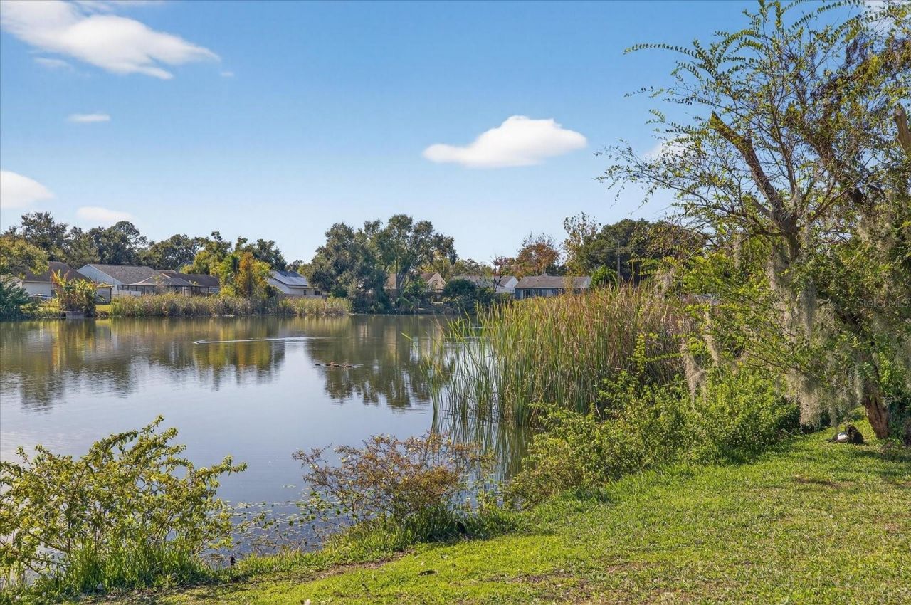 7819 Chaperon Court, Tampa, FL 33637 Photo