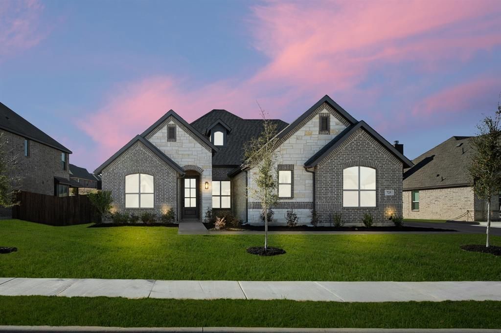 725 Winecup Way, Midlothian, TX 76065 Main Photo