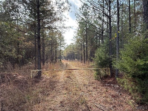 0000 Old Hwy 18, Vernon, AL 35592