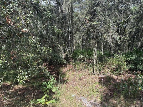 0 County RD 54 E, Kathleen, FL 33849