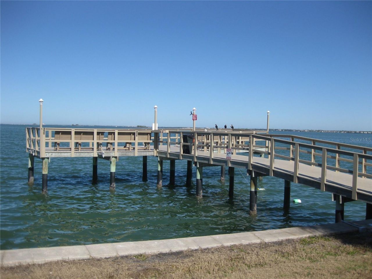 5 Gateshead Drive, Unit 107, Dunedin, FL 34698 Photo