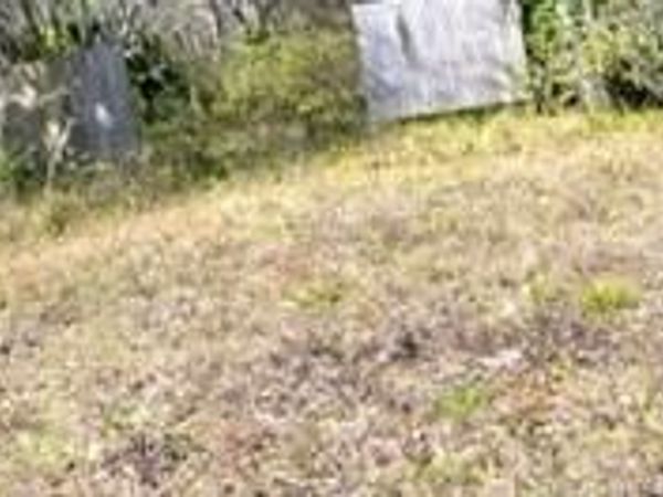 419 STATE ROAD 207, East Palatka, FL 32131