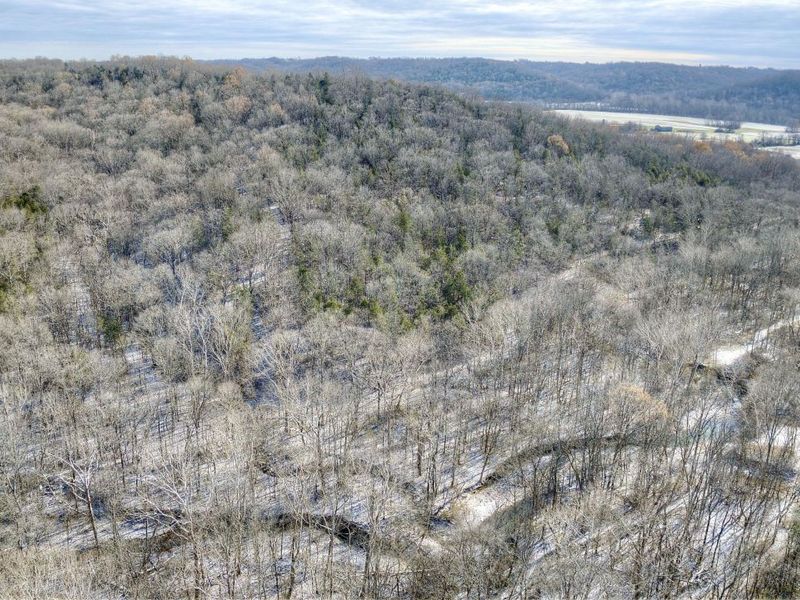 3386 KY-467, Glencoe, KY 41046 Photo 16