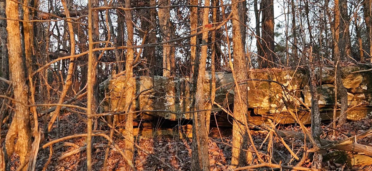 000 Underwood Mountain Rd, Tuscumbia, AL 00000 Main Photo