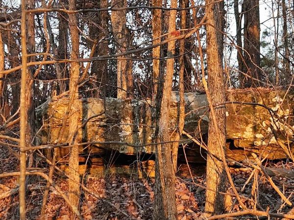 000 Underwood Mountain Rd, Tuscumbia, AL