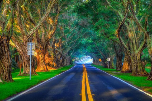 8502 SE Royal Street, Hobe Sound, FL 33455 Photo