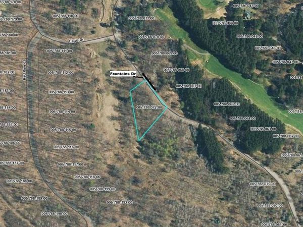 539 Fountains Drive, Lewiston, MI 49756