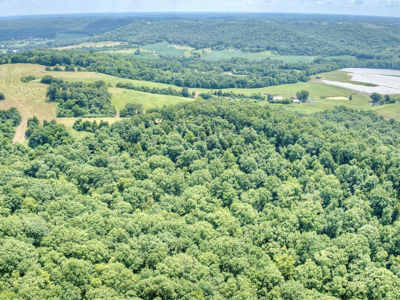 3386 KY-467, Glencoe, KY 41046 Photo 13