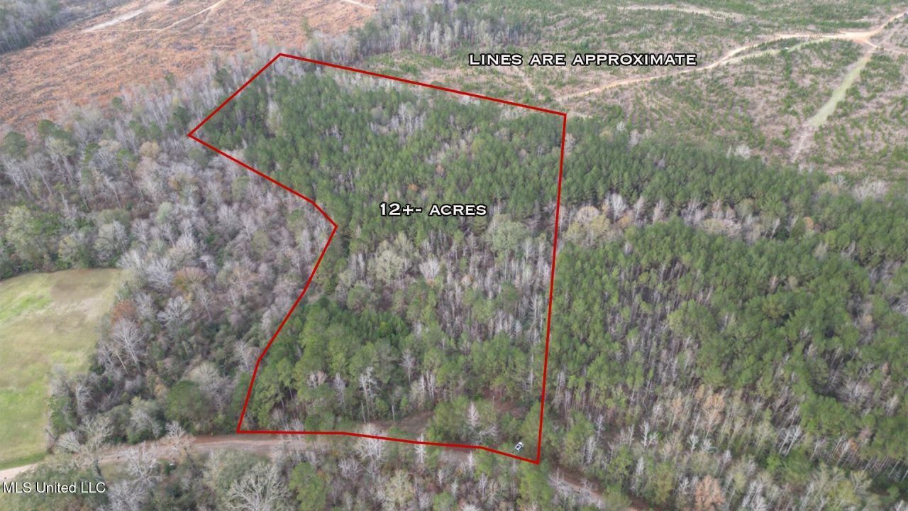 57 Mose Hilliard Road, Sontag, MS 39665 Main Photo