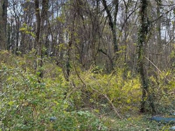 3231 Jonesboro Road SE, Atlanta, GA 30354