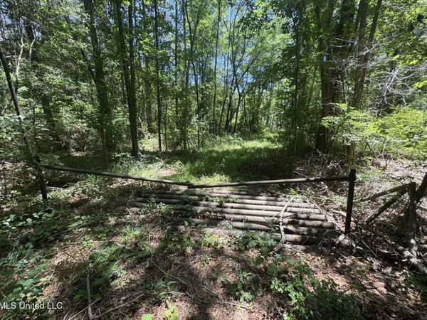 Zion Hill Church Road, Silver Creek, MS 39663