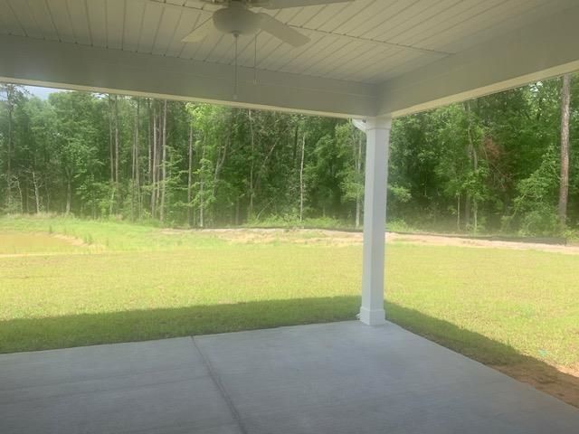 216 Blue Wing Court Photo 10