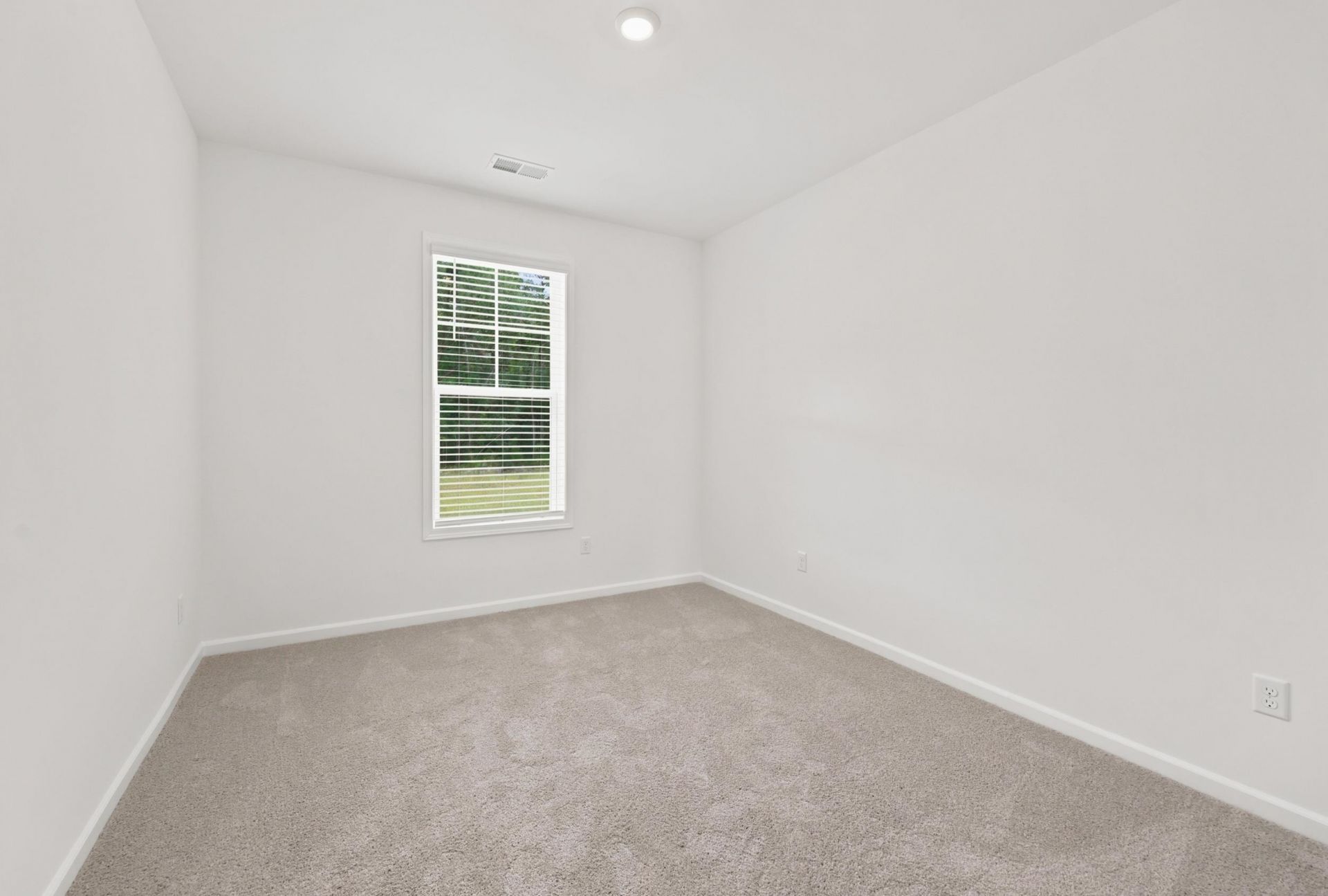 216 Blue Wing Court Photo 17