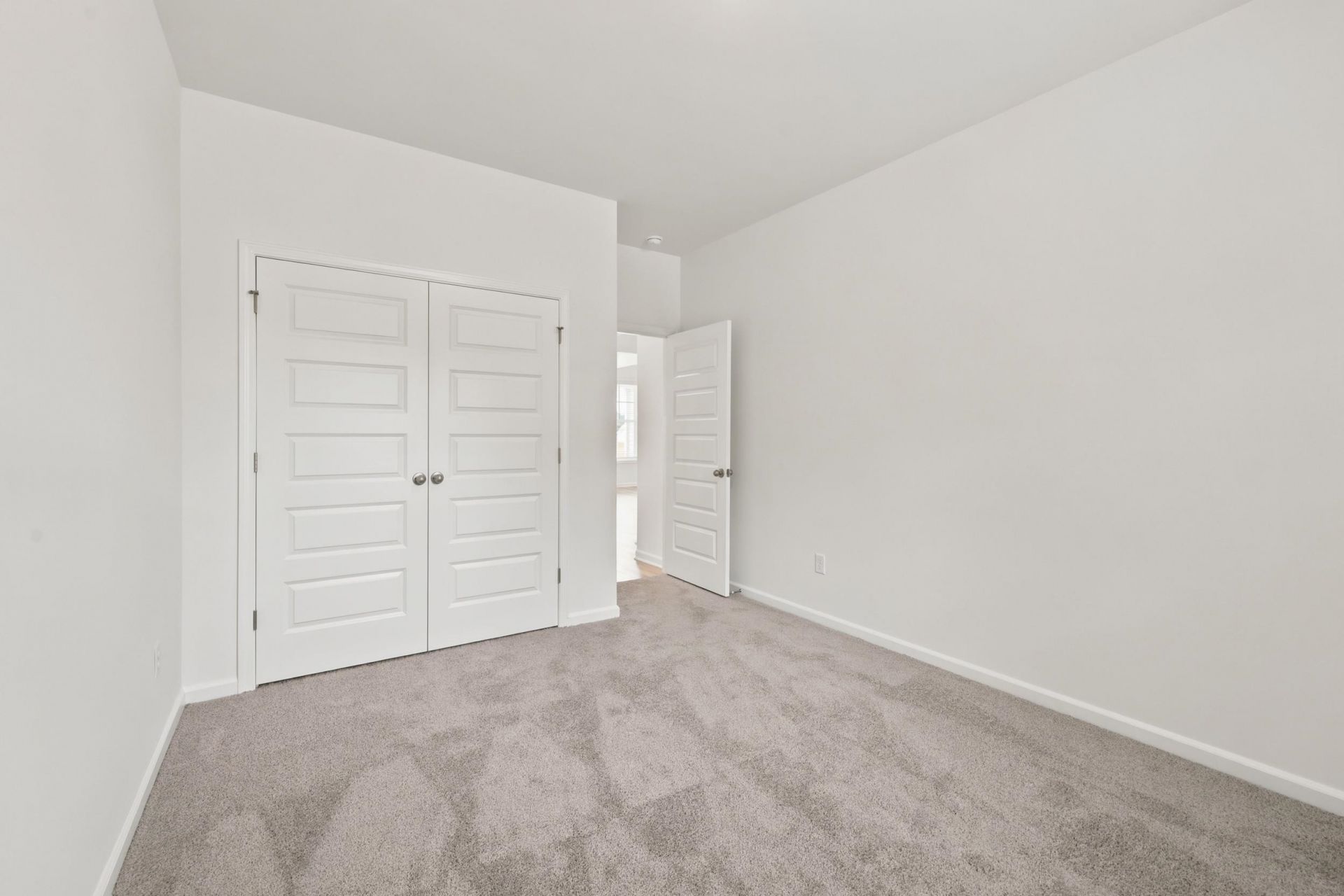 216 Blue Wing Court Photo 18