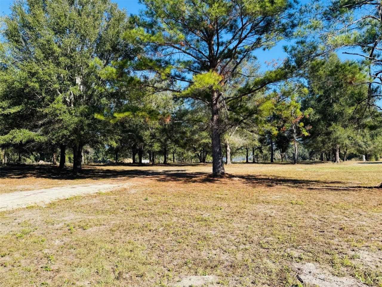 16226 41st Place, Wellborn, FL 32094 Photo