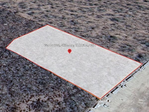 239 Private Road, Unit 6011, Skidmore, TX 78389