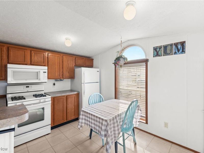 237 Evanston, Amherst, OH 44001 Photo 10