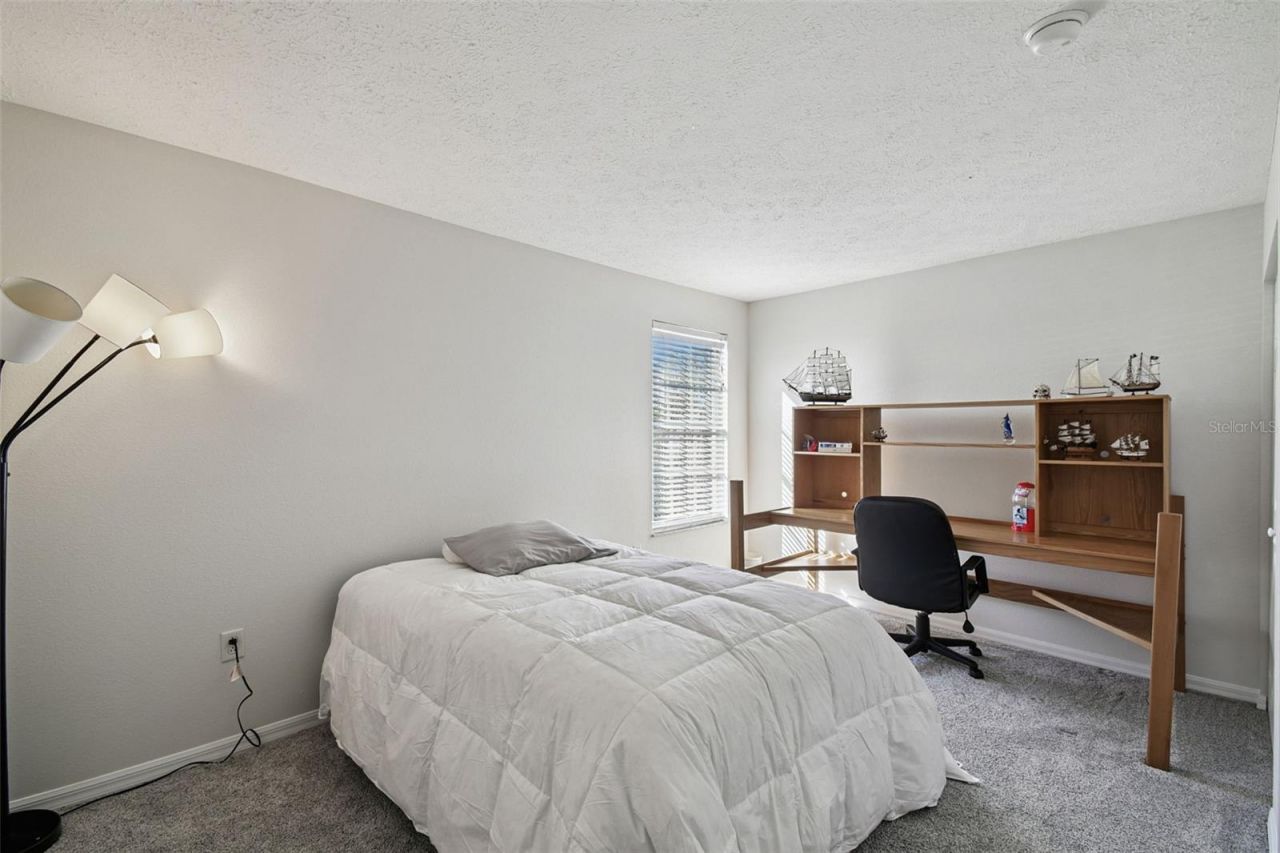 7904 Portrait Court, New Port Richey, FL 34654 Photo