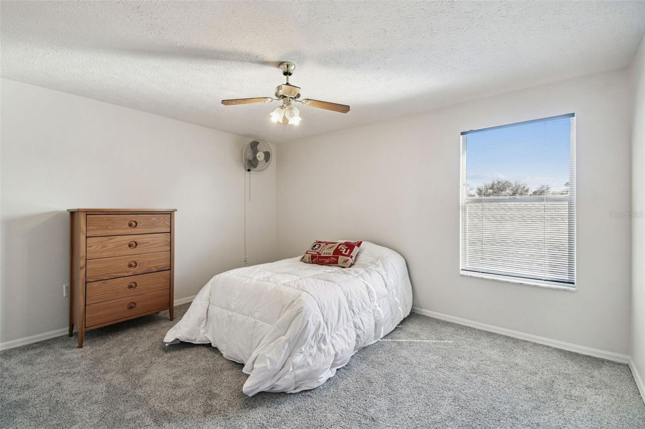 7904 Portrait Court, New Port Richey, FL 34654 Photo