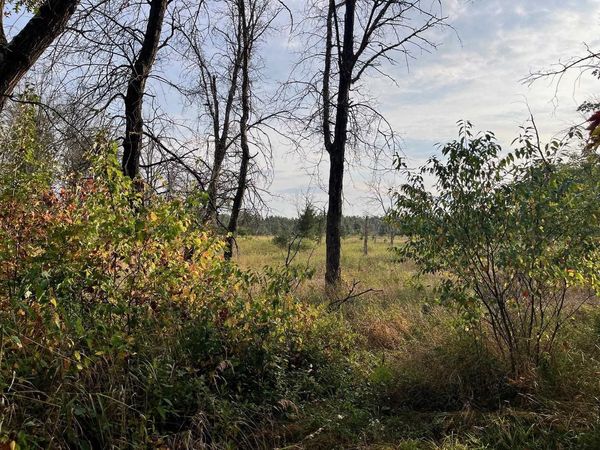 1193 Beaver Avenue, Nekoosa, WI 54457