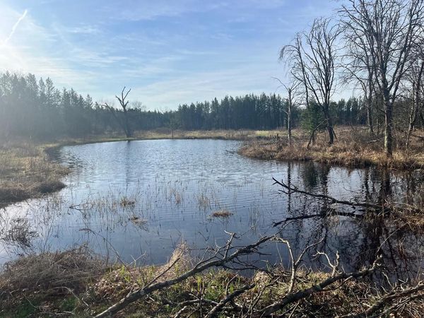 1193 Beaver Avenue, Nekoosa, WI 54457