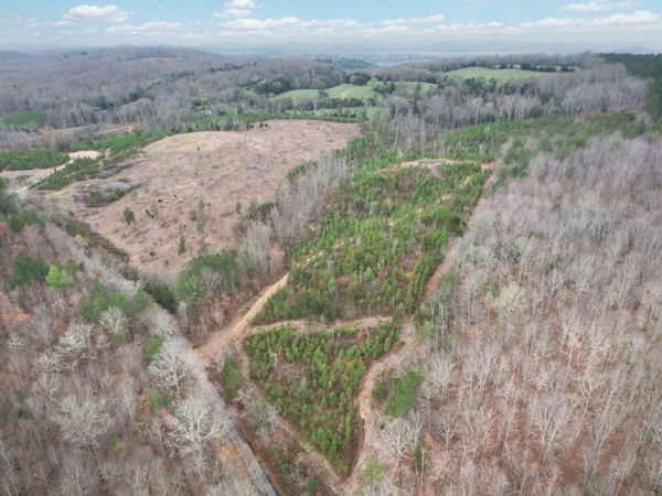 0 Big Sewee Lot 5, Decatur, TN 37322