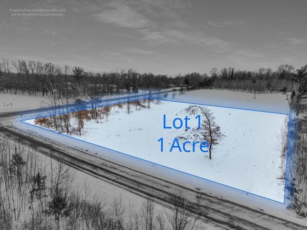 Lot 1 11th Avenue , Chetek Twp, WI 54728